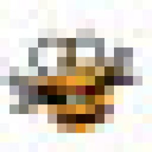 favicon1