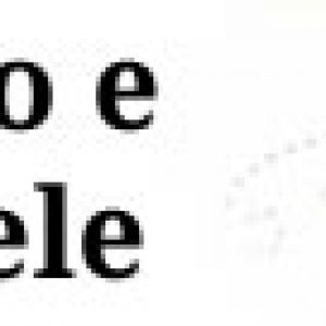 Vendita on line di miele biologico e olio d'oliva extravergine prima spremitura