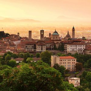 Vendita miele biologico a Bergamo