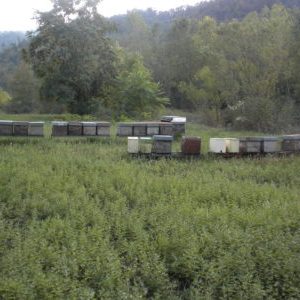 DSCN0098 e1518004253538