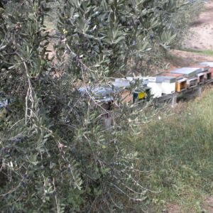 DSCN0159 e1518004212360