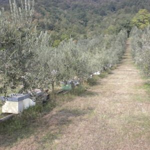 DSCN0173 e1518004233350
