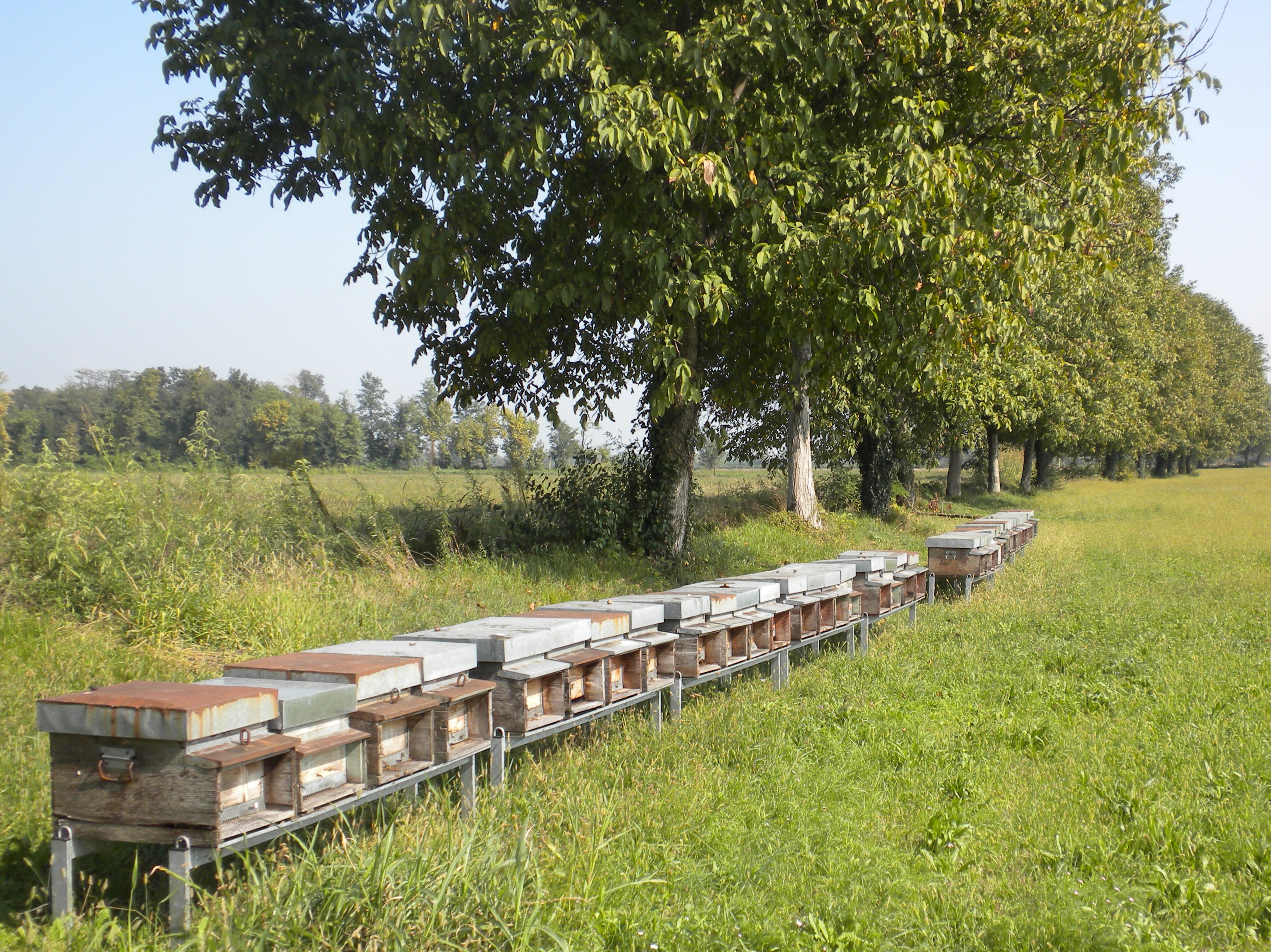 Landwirtschaftsbetrieb