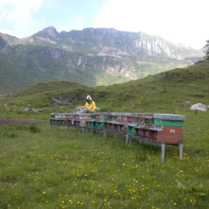 Il miele biologico grezzo viene prodotto in un ambiente incontaminato da un apicoltura responsabile.