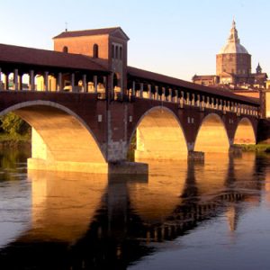 Vendita miele biologico a Pavia