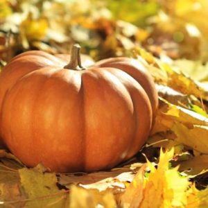novembre