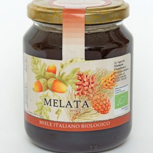 Miele biologico di melata naturale: Produzione e Vendita dal produttore al consumatore