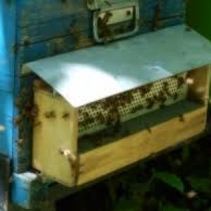 images 1