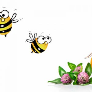 Il miele biologico prodotto da Vismara ha moltissime proprietà