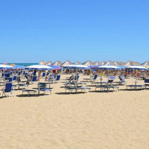 eventi estate 2018 per Olioemiele