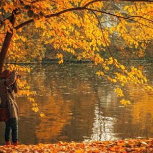 i mercatini del miele in autunno di Olioemiele