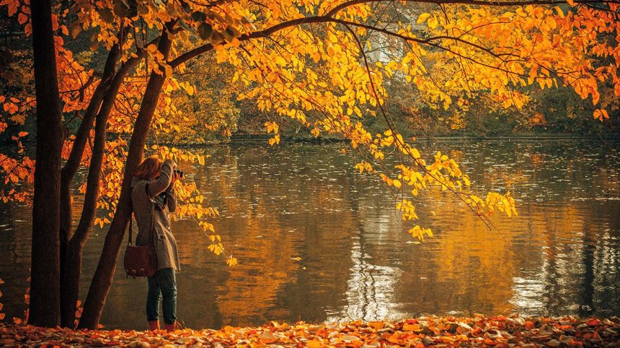 i mercatini del miele in autunno di Olioemiele