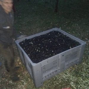 img 20181031 172655