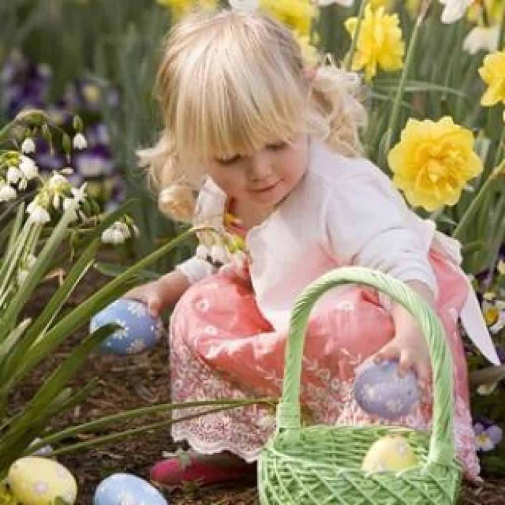 pasqua raccolta uova