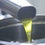 olio d'oliva biologico dal produttore frantoio
