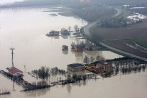 salviamo le api in Emilia Romagna