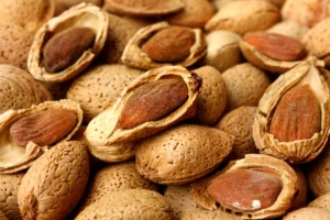 mandorle 2